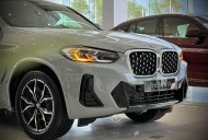 BMW X4 2022 - Hót, ưu đãi cực tốt tại Bình Dương giá 3 tỷ 679 tr tại Bình Dương