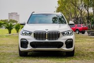 BMW X5 2021 - Xe mới, nội thất nâu da bò sang trọng giá 3 tỷ 680 tr tại Hà Nội