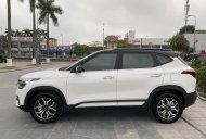 Kia Seltos 2021 - Màu trắng, nhập khẩu giá 690 triệu tại Thái Bình