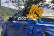 Ford Ranger Xe chính chủ nguyên bản chưa đâm đụng thuỷ kích 2019 - Xe chính chủ nguyên bản chưa đâm đụng thuỷ kích giá 901 triệu tại Lào Cai