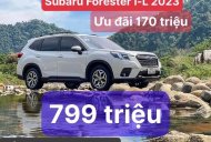 Subaru Forester 2023 - Subaru Forester 2.0i-L 🎁 Mua Xe Không Lo Về Giá 🎉 giá 799 triệu tại Tp.HCM
