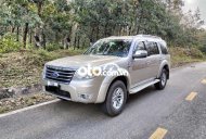 Ford Everest Gia đình cần bán xe 2009 - Gia đình cần bán xe giá 298 triệu tại Quảng Nam