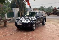 Ford Escape Cần bán xe gia đình đi giữ gìn 2010 - Cần bán xe gia đình đi giữ gìn giá 215 triệu tại Đắk Lắk