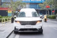 Kia Carnival Carival Royal  2018 - Cần bán gấp Kia Carnival Carival Royal 2018, màu trắng, nhập khẩu chính hãng giá 1 tỷ 899 tr tại Hà Nội