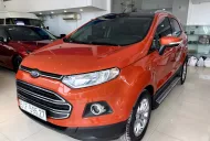 Ford EcoSport 2016 - Chính chủ bán xe Ford Ecosport Titanium năm sx 2016 giá 305 triệu tại Tp.HCM