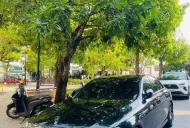 Mercedes-Benz E300 2019 - Mercedes-Benz E300 SX 2019 – XE GIA ĐÌNH, CHÍNH CHỦ, BAO CHECK THOẢI MÁI giá 1 tỷ 250 tr tại Tp.HCM