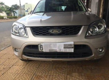 Ford Escape   AT 2010 - Bán Ford Escape AT đời 2010, màu bạc  