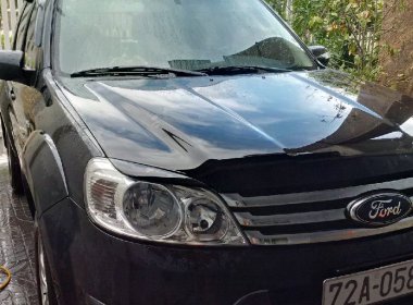 Ford Escape AT 2009 - Bán Ford Escape đời 2009, màu đen số tự động