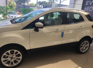 Ford EcoSport 2018 - Bán Ford Ecosport Titanium giá 615 tại Thái Bình, hotline: 0901336355