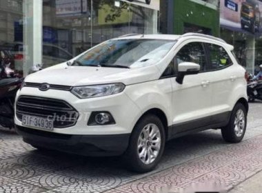 Ford EcoSport 2015 - Bán Ford EcoSport sản xuất 2015, màu trắng, xe nhập chính chủ