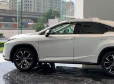Lexus RX 300 2019 - Cần bán Lexus RX 300 2019, màu trắng
