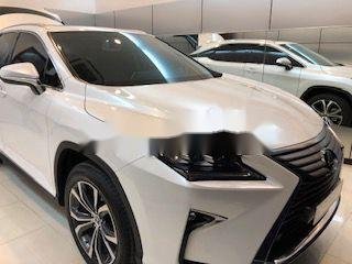 Lexus RX   2019 - Bán xe Lexus RX300 đời 2019, xe nhập