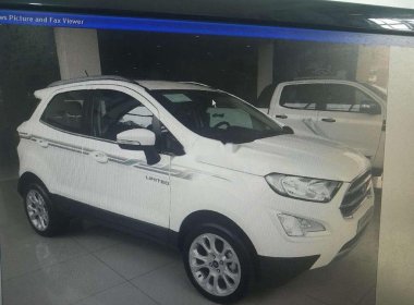 Ford EcoSport 2019 - Bán xe Ford EcoSport đời 2019, màu trắng, nhập khẩu nguyên chiếc, giá 650tr